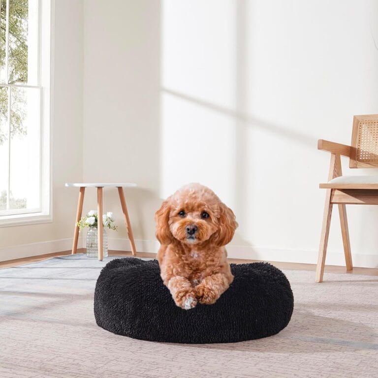 Dog & Cat Bed: Round Faux Fur Pet Bed - Plush, Cozy, & Calming Donut Bed for Medium Pets - Soft & Comfortable Sleeping Cushion for Napping & Lounging, 23" Round, Black