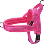 Didog Soft Flannel Padded Dog Vest Harness, No Pull/Quick Fit Reflective Dog Strap Harness, Easy for Training Walking (M:Chest 21-26", Hot Pink)