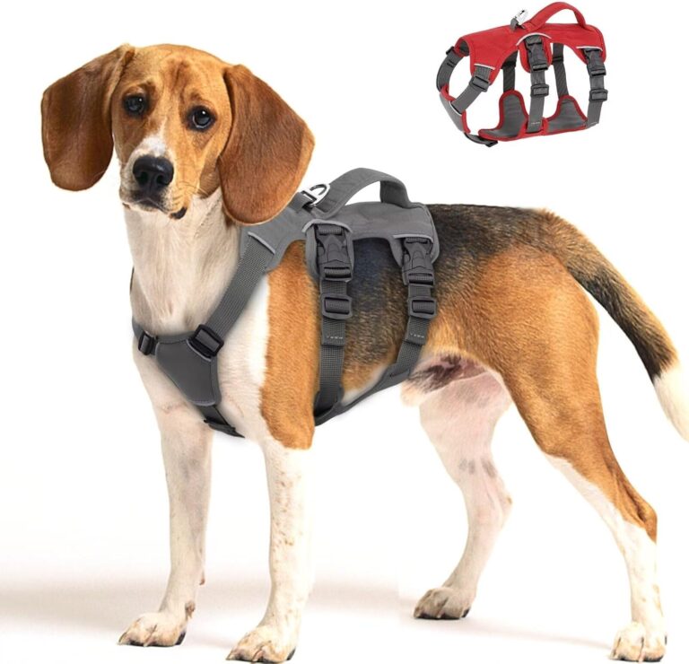 Beirui Escape Proof Dog Harness - Reflective, No Pull with Padded Handle, Waterproof for Daily Walking & Training (Gray, Chest 16-31'')