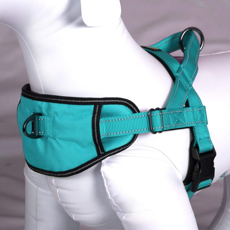 Max and Neo Passport Reflective Dog Harness - We Donate a Harness to a Dog Rescue for Every Harness Sold (Small (16"-22" Chest Girth), Teal)