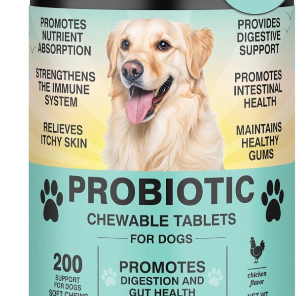 Probiotics for Dogs Gut Digestive Health Probiotic Chew for Dogs Digestive Enzymes Relieve Diarrhea Immunity Oral Problems Itching Constipation Prebiotics Dog Probiotics 200 Tablets Chicken Flavor