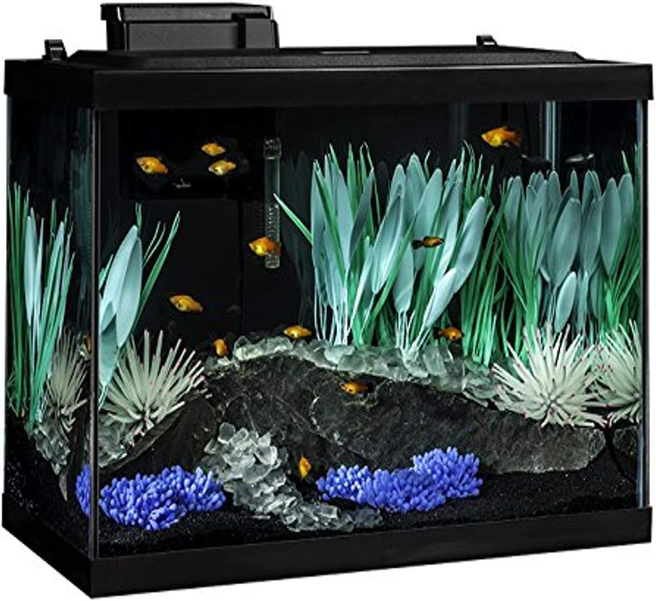 Tetra ColorFusion Aquarium 20 Gallon Fish Tank Kit, Includes LED Lighting and Decor Tetra ColorFusion Aquarium 20 Gallon Fish Tank Kit, Includes LED Lighting and Decor