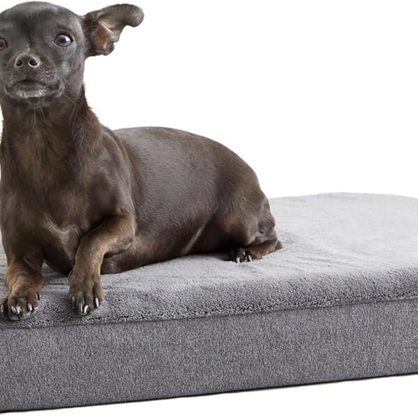 Barkbox Orthopedic Dog Bed with Memory Foam, Premium Comfort for Dogs and Puppies, Dog Bed for Joint Relief and Restful Sleep, Durable and Easy to Clean - Grey, Small
