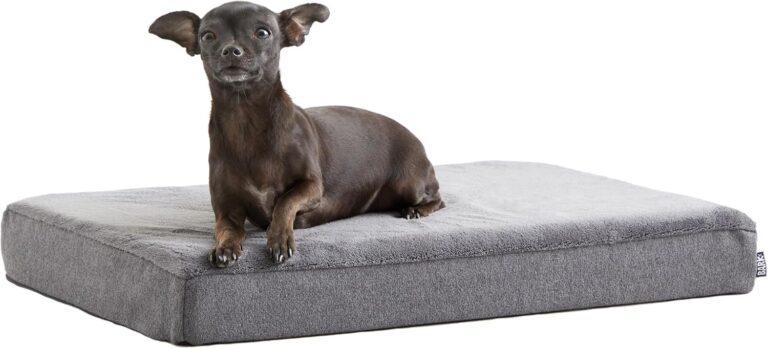 Barkbox Orthopedic Dog Bed with Memory Foam, Premium Comfort for Dogs and Puppies, Dog Bed for Joint Relief and Restful Sleep, Durable and Easy to Clean - Grey, Small