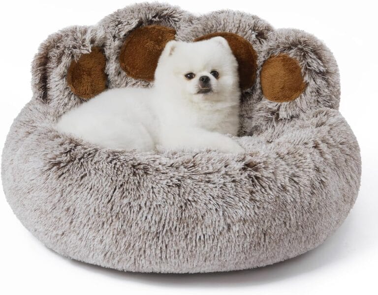Jiupety Calming Cozy Comfy Small Dog and Cat Bed, Creative Donut Pets Bed with Standing Bear Paws, Anti-Anxiety, Non-Slip Gray, L Size 26" X 26" X 8"
