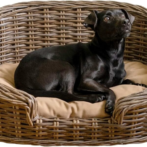 DBD1000A Curvy 28.5" x 17.25" Classic Handwoven Rattan Dog Bed with Machine-Washable Cushion, Kubu Gray