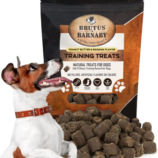 Training Treats for Dogs - Peanut Butter & Banana - All-Natural Healthy Low Calorie Vegan Dog Training Treats - Great to Use for Rewards in Training Your Puppy Or Dog