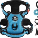 IVY&LANE No Pull Dog Harness for Medium Dogs, Dog Vest Harness with Leash, Safety Belt and Storage Strap, Fully Adjustable, 360 Reflective Strip, Soft Handle (Blue, M)