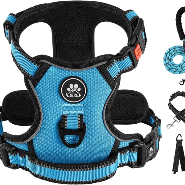 IVY&LANE No Pull Dog Harness for Medium Dogs, Dog Vest Harness with Leash, Safety Belt and Storage Strap, Fully Adjustable, 360 Reflective Strip, Soft Handle (Blue, M)