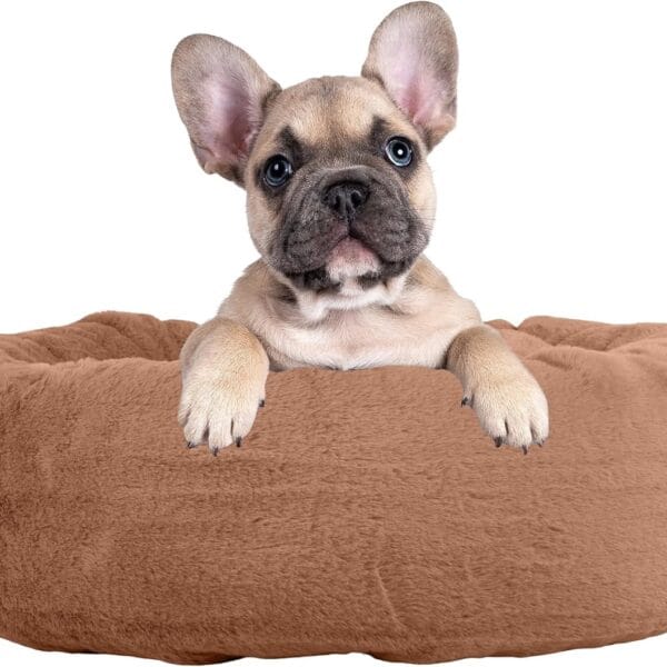 PETMAKER Dog Bed - Donut Pet Bed for Small Dogs - Dog Bed with Removable Washable Cover and Anti-Slip Bottom - Puppy Essentials (Beige)