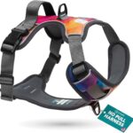 Embark Adventure Dog Harness, Reflective Trim No Pull Dog Harnesses for Small Sized Dogs - Military Grade Nylon, Front Clip with Gel Lined Handle. Soft & Padded Puppy