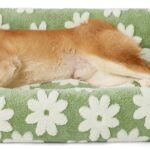 LE SURE Cute Dog Bed for Large Dogs - Washable Pet Beds,Cozy Rectangle Orthopedic Sofa with Jacquard Shaggy Plush & Anti Slip Bottom,36x27x8inches