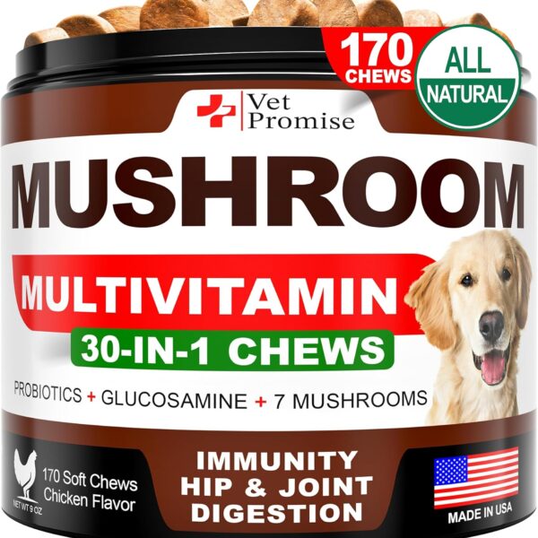 Turkey Tail Mushroom for Dogs - 170 Chews - Mushroom Supplement for Dogs - Lions Mane - Reishi - Immunity Support Multivitamin Vitamins - Joint Health - Energy - Gut - Skin - Made in USA