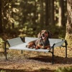 Gardner Pet Elevated Dog Bed for Small Dog, Outdoor Raised Bed Waterproof Portable Cooling Pet Cot Hammock Bed with 3-Sided Guardrail, Breathable Mesh, Grey, 35 Inches