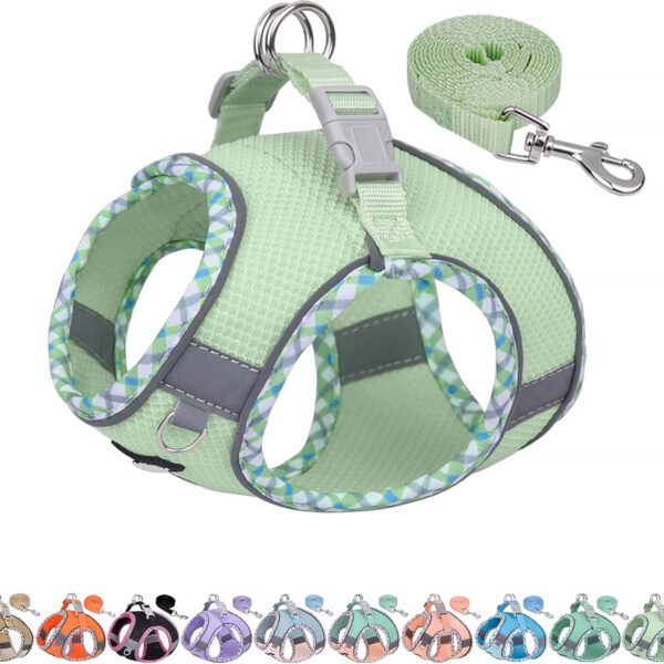AIITLE Tiny Dog Harness - Lightweight Mesh Step-in Vest for Puppy, Reflective & Escape-Proof Design with High-Stick Magic Tape - Indoor/Outdoor Use for Chihuahua, Maltese, Shih Tzu(Sage, XXXS)