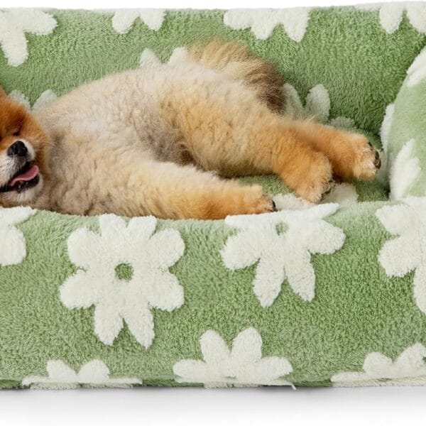 LE SURE Cute Dog Bed for Small Dogs - Washable Puppy Beds,Cozy Rectangle Orthopedic Pet Sofa with Jacquard Shaggy Plush & Anti Slip Bottom,25x21x7inches