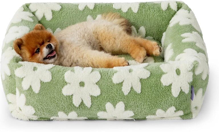 LE SURE Cute Dog Bed for Small Dogs - Washable Puppy Beds,Cozy Rectangle Orthopedic Pet Sofa with Jacquard Shaggy Plush & Anti Slip Bottom,25x21x7inches