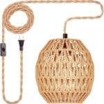 Hanging Lamps Rattan Pendant Light Hanging Lights 16.4ft Plug in Cord Pendant Light Fixture Plug Into Wall Outlet Pendant Lighting with On Off Switch for Bedroom Living (Egg Shade)