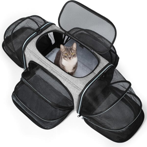 Siivton Cat Carrier,4 Sided Expandable Pet Carrier for Travel,Collapsible Soft-Sided Carriers with Removable Fleece Pad and Shoulder Straps,Airline Approved(17.5"x 11"x 11")