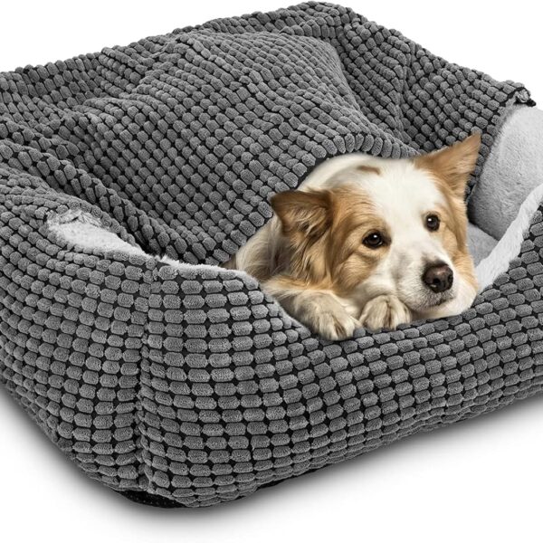 GASUR Dog Beds for Small Medium Large Dogs with Cover Cave, Rectangle Hooded Dog Puppy Bed with Blanket, Cozy Anti-Anxiety Cat Beds for Indoor Cats, Anti-Slip Bottom and Machine Washable (20", Grey)