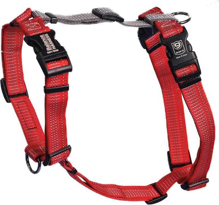 Blue-9 Reflective Buckle-Neck Balance Harness, Fully Customizable Fit No-Pull Harness with 3M Reflective Stitching, Ideal for Dog Training and Obedience, Made in The USA, Red, Small