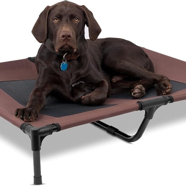 BIRDROCK HOME Dog Cot | 36 x 30 | Elevated Dog Bed | Cool Breathable Mesh | Indoor or Outdoor Use | Medium | Brown