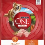 Purina ONE Plus Healthy Weight High-Protein Dog Food Dry Formula - 16.5 lb. Bag