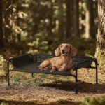 Gardner Pet Elevated Dog Bed for Small Dog, Outdoor Raised Bed Waterproof Portable Cooling Pet Cot Hammock Bed with 3-Sided Guardrail, Breathable Mesh, Black, 35 Inches