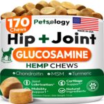 Hemp Hip and Joint Supplement for Dogs - Glucosamine for Dogs - 170 Mobility Support Chews - Advanced Joint Pain Relief Treats with Chondroitin, MSM, Turmeric - Large & Small Breeds - Made in USA