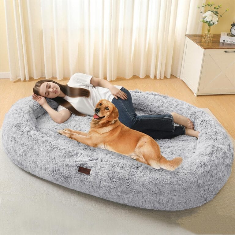 Human Dog Bed Fits Adult & Pets, Reversible 2 Layer Orthpedic Gel Memory Foam, Removable Double-Sided Mat with Cooling Fabric, Washable Faux Fur, Plump Edge with Blanket, 71", Ombre Gray