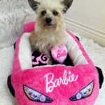Barbie Plush Car Pet Bed- Themed Plush Pink Pet Bed for Dogs and Cats  Soft and Cozy Pet Bed with Barbie Pillow and Car Design
