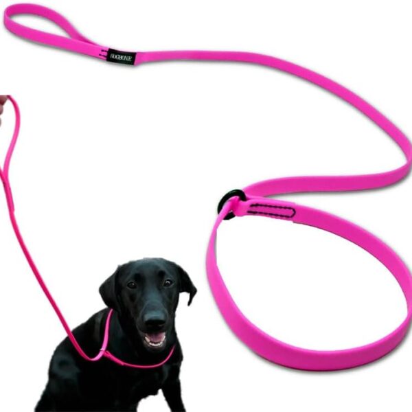 DogBone Slip Lead for Small, Medium, & Large Dogs  No Pull Lasso Style Leash & Collar for Control During Training - Waterproof & Chew Resistant Biothane Alternative - Great Size for Hiking & Travel