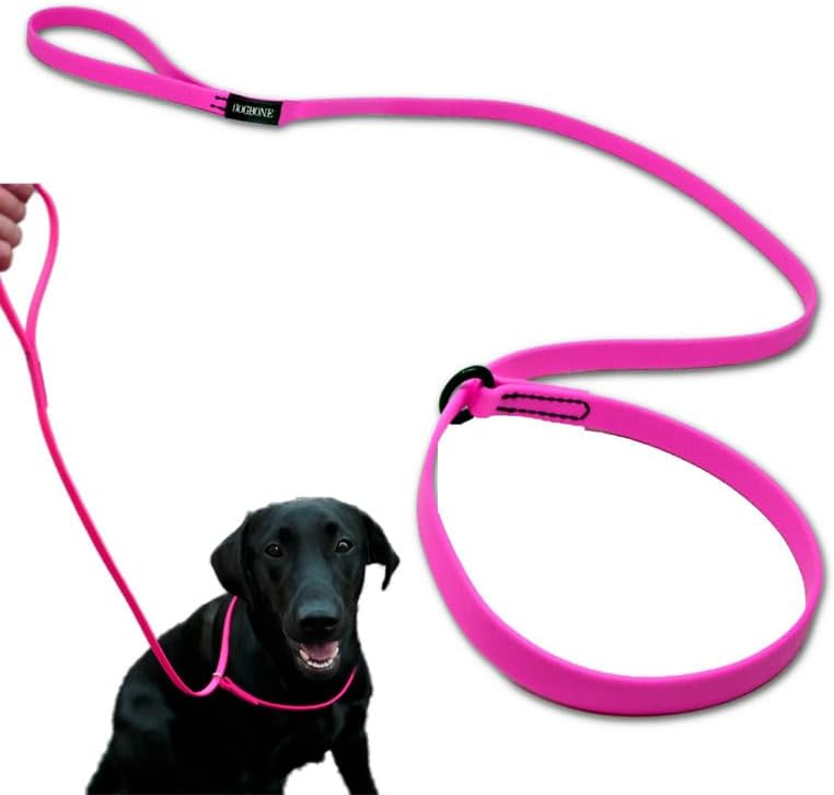 DogBone Slip Lead for Small, Medium, & Large Dogs  No Pull Lasso Style Leash & Collar for Control During Training - Waterproof & Chew Resistant Biothane Alternative - Great Size for Hiking & Travel