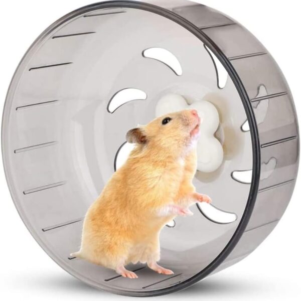 Mini Silent Exercise Wheels for Hamsters Less Than 4 inches 10 cm in Length Toys Hamster Ball Small Pet Running Toy Ball Gerbils Mice Rat Guinea Pig Hamster Cage Accessories
