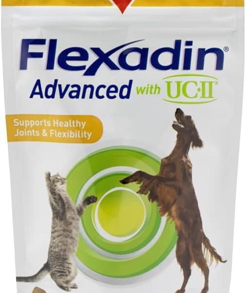 Vetoquinol Flexadin Advanced Hip and Joint Supplement with Undenatured Collagen for Dogs, One Chew a Day Hip and Joint Support Chew for Dogs and Cats, Clinically Proven Vet-Approved Formula, 60 Chews