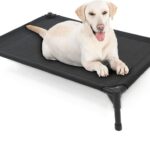 Garnpet Elevated Dog Bed for Large Dogs, Raised Dog Cot Fits Up to 120 LBs, Heavy Duty Pet Cots with Durable Supportive Teslin Recyclable Washable Mesh, Indoor & Outdoor Pet Bed, Black