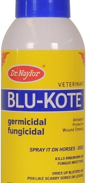Dr. Naylor Blu-Kote Aerosol (128 Gram) - Fast Drying Antiseptic Wound Dressing