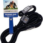 Cesar Millan Slip Lead Leash | Dog Leash | in Training Leash | (Regular, Black)