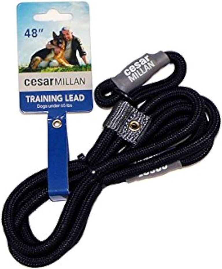 Cesar Millan Slip Lead Leash | Dog Leash | in Training Leash | (Regular, Black)