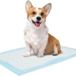 Bolux Dog and Puppy Training Pads, 1318 Disposable Dog Pee Pads, 100/Counts Ultra Absorbent & Leak-Proof Pet Underpads, Dry Quickly Pee Pad for Dog Cats Rabbits or Other House Training Pet