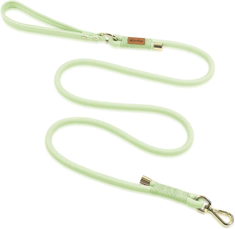 Wisedog Dog Leash for Small Dogs, 5FT Lightweight Rope Leash with PVC Soft Padded Handle, Rustproof 360Swivel Buckle Heavy Duty for Medium & Large Dogs (Sage Green)
