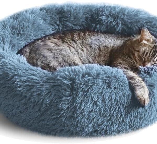 Whiskers & Friends Cat Bed, Cat Beds for Indoor Cats Washable, Orthopedic Soft Fluffy Round Calming Pet Bed for Small to Large Kitty Kittens & Dogs, Small Dog Beds & Furniture