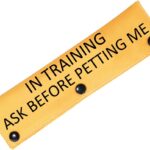 PWHAOO in Training Dog Leash Sleeve Ask to Pet Give Me Space Merch Working Dog Leash Wrap (Ask Before Petting Sleeve)