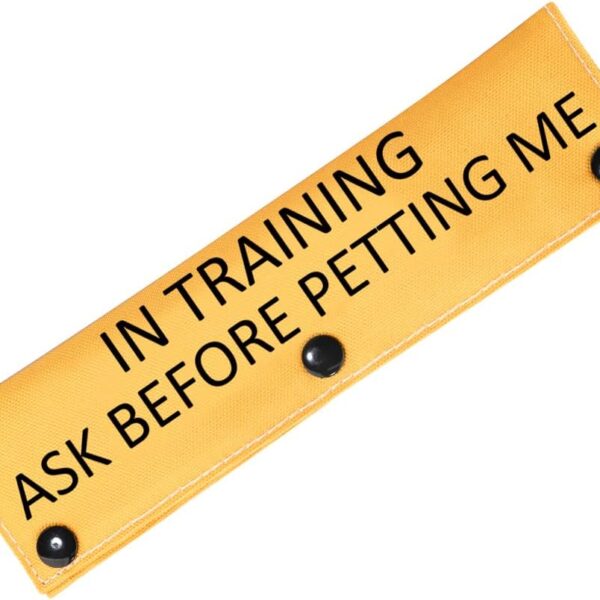 PWHAOO in Training Dog Leash Sleeve Ask to Pet Give Me Space Merch Working Dog Leash Wrap (Ask Before Petting Sleeve)