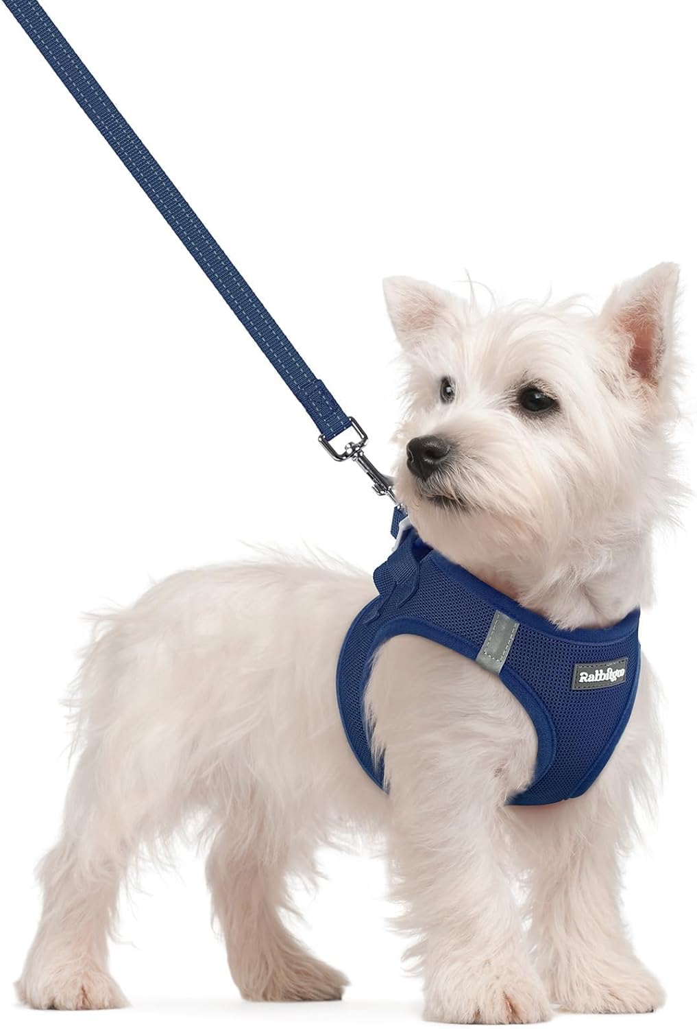 rabbitgoo Dog Harness Small Sized and Leash Set, Step in Soft Light Puppy Vest, Breathable Mesh Pet Harness, Reflective for Safe Outdoor Walking, Navy Blue S rabbitgoo Dog Harness Small Sized and Leash Set, Step in Soft Light Puppy Vest, Breathable Mesh Pet Harness, Reflective for Safe Outdoor Walking, Navy Blue S