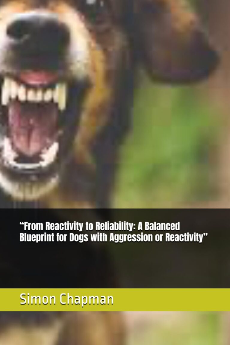 From Reactivity to Reliability: A Balanced Blueprint for Dogs with Aggression or Reactivity
