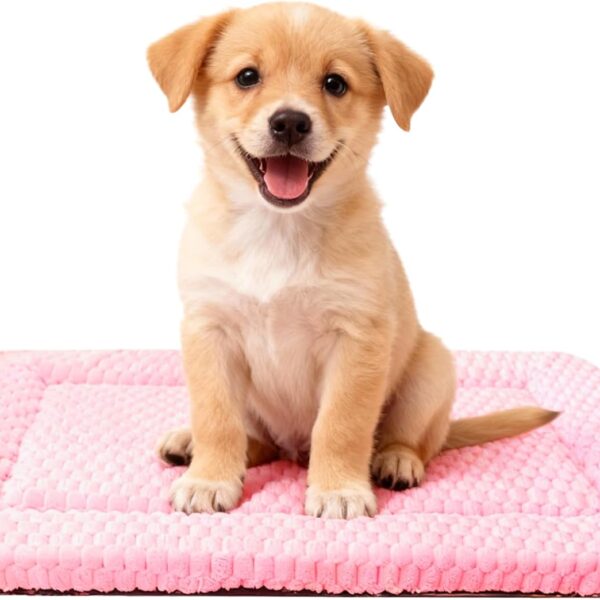 Dog Bed Mat,Reversible & Ultra Soft Kennel Pad-Machine Washable Pet Bed for Dogs & Cats-All-Weather Crate Liner for Crates,Carriers & Travel (Pink, 24" L x 18" W x 1.5" Th)