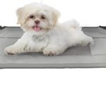 Elevated Dog Bed - 24.5x18.5-Inch Portable Pet Bed with Non-Slip Feet - Indoor/Outdoor Dog Cot or Puppy Bed for Pets up to 25lbs by PETMAKER (Gray)