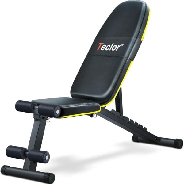 Adjustable Weight Bench, Foldable Workout Benches for Home Gym, 10 Backrest Position Exercise Bench for Strength Training, Upgraded Thickened Steel Support Max Capacity 700LBs