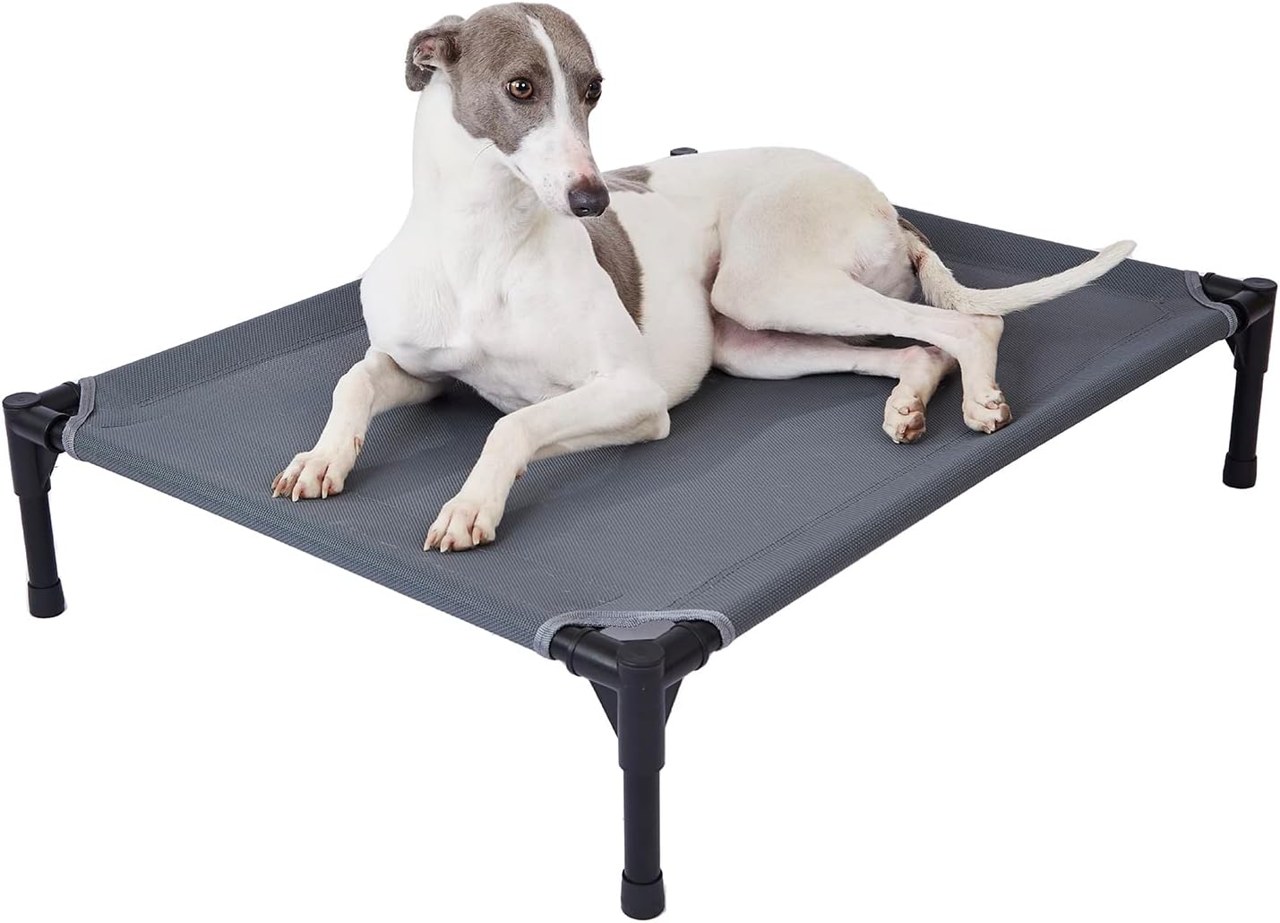 pettycare Elevated Outdoor Dog Bed - Raised Cot for Large Dogs, Heavy Duty Pet Cots Waterproof, Cooling, Washable Breathable Teslin Mesh, Durable, Non Slip, 42 Inches, Grey pettycare Elevated Outdoor Dog Bed - Raised Cot for Large Dogs, Heavy Duty Pet Cots Waterproof, Cooling, Washable Breathable Teslin Mesh, Durable, Non Slip, 42 Inches, Grey